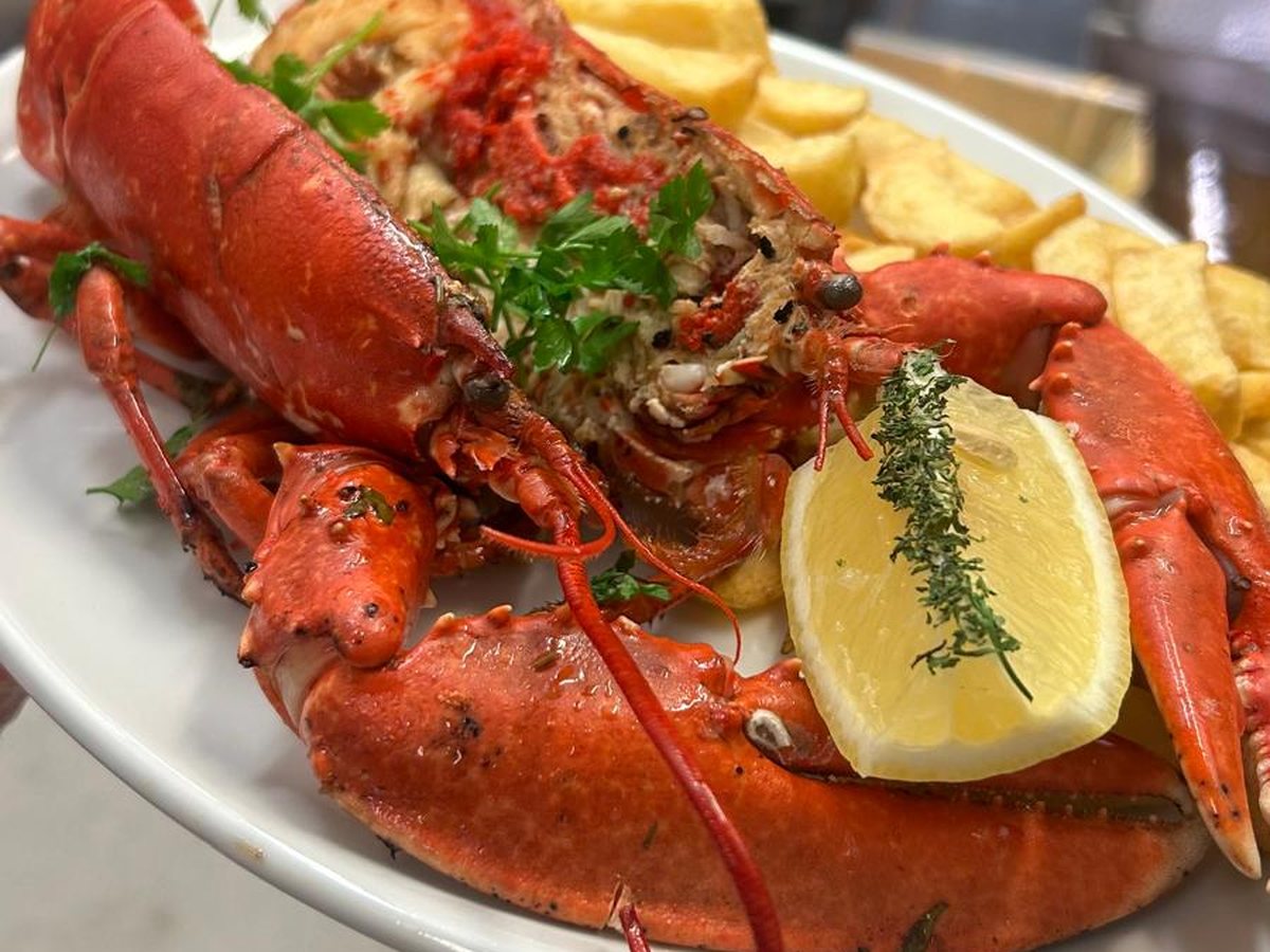 Fresh lobster, plated